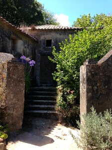 Old former monastery garden