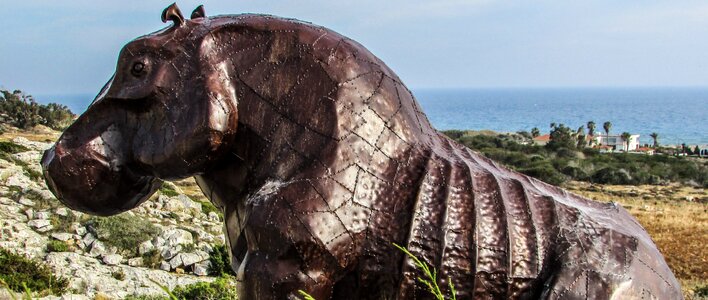 Hippo art outdoor