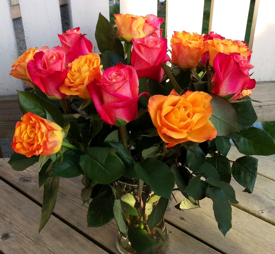 Roses flowers bouquet
