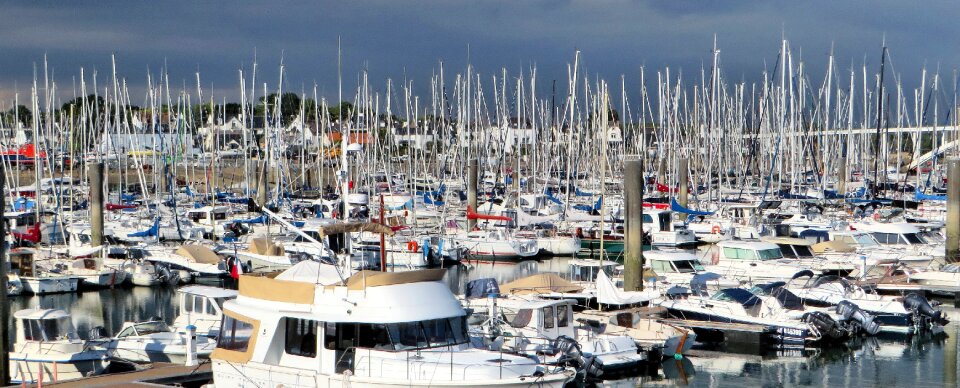 Mats forest of masts marina