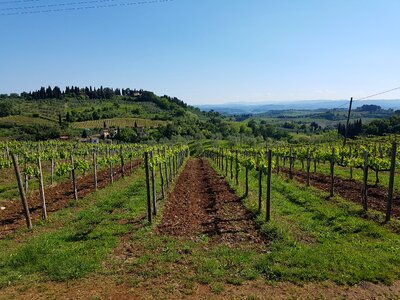 Tuscany landscape wine region