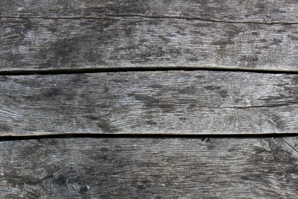 Old nature wood grain