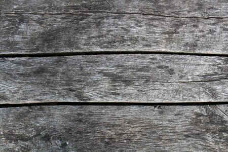 Old nature wood grain