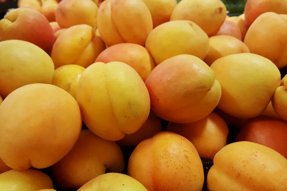 Seasonal orange food