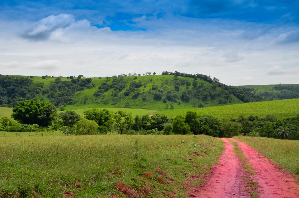 Serrated brazil rural