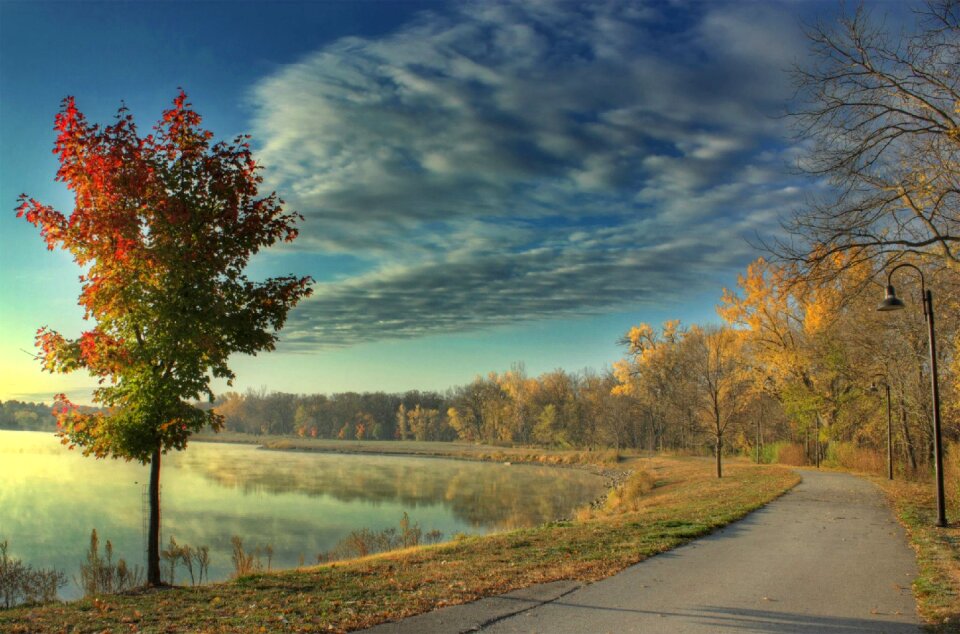 Lake landscape way