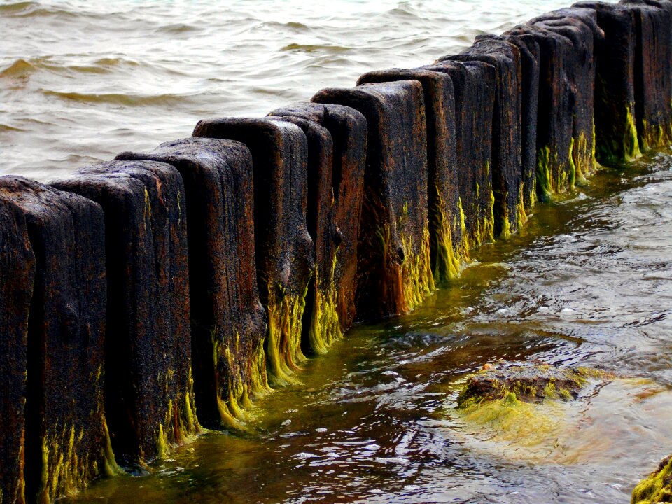 Wood old the waves
