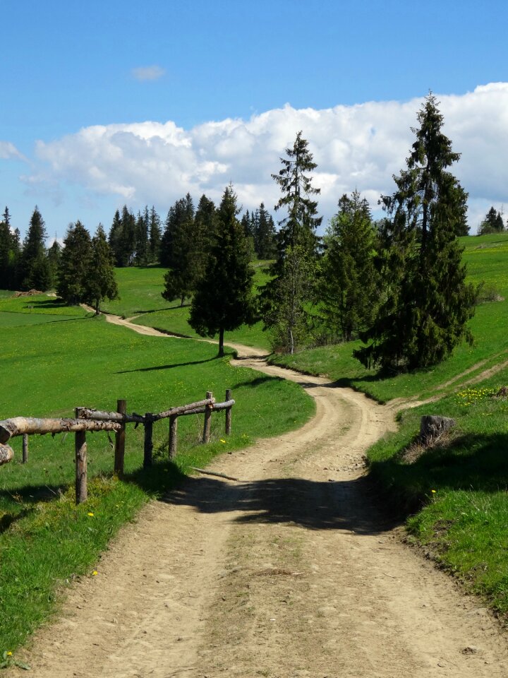 Trail landscape tatry