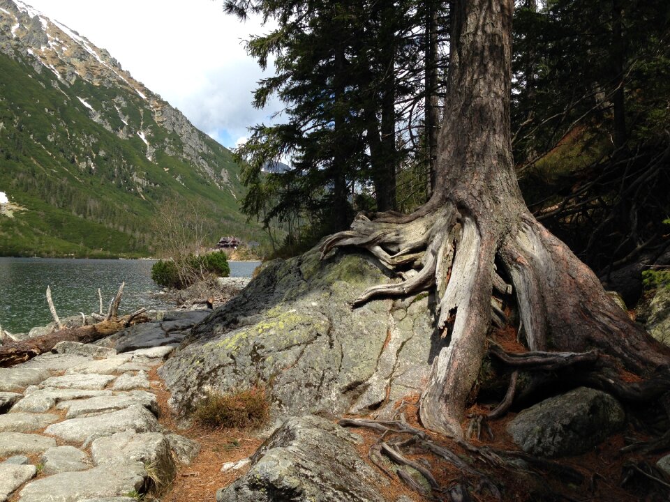 Morskie oko nature landscape photo