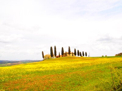 Toscana natural landscape photo
