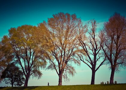 Meadow sky evening photo