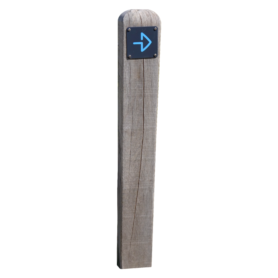 Direction wood masked
