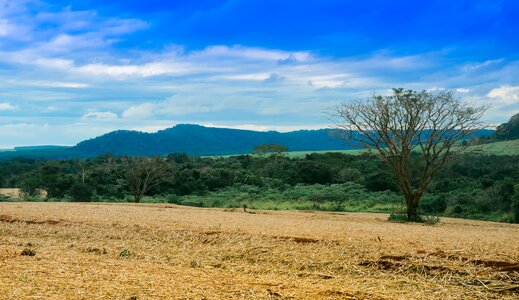 Serrated brazil rural photo