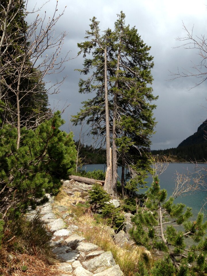 Morskie oko nature landscape photo