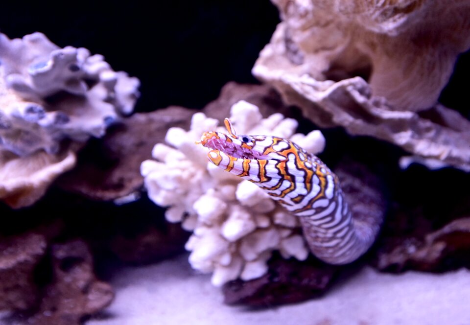 Underwater color bright