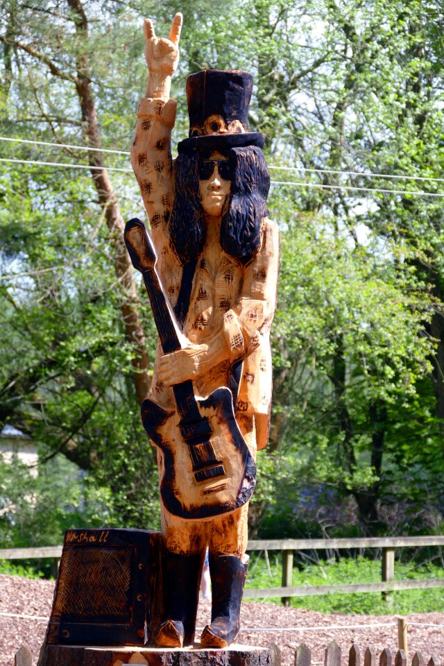Wood wooden tree