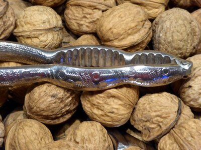 Nutcracker close up walnuts in the shell