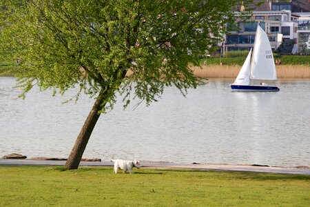 Ship water sailing boat