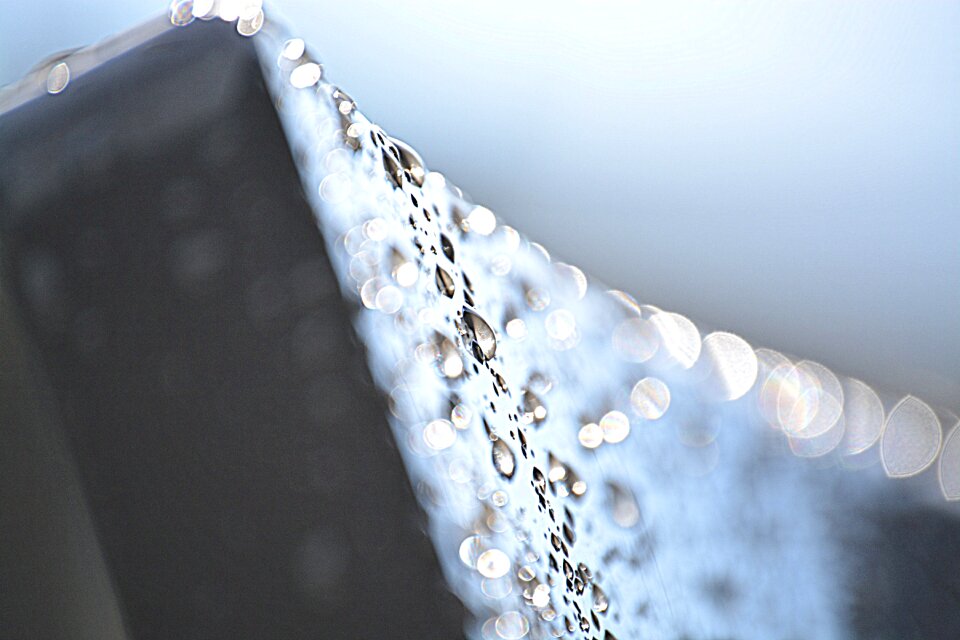 Macro close up beaded