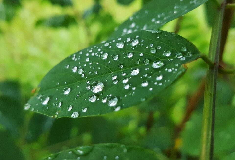 Water droplets beads