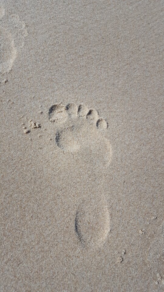 Imprint the rate of beach
