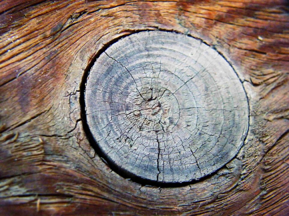 Age old wood surface