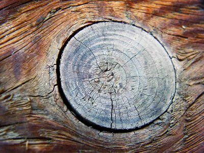 Age old wood surface
