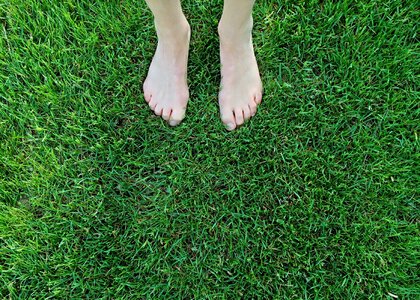 Grass summer
