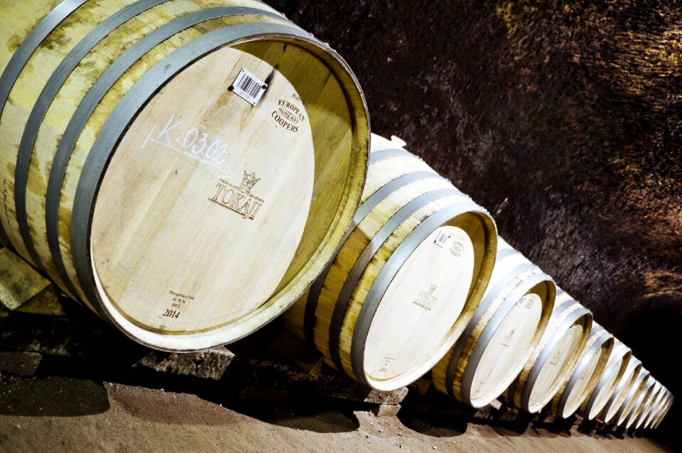 Barrel cellar wine