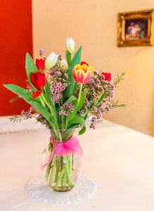 Tulips colorful gift photo