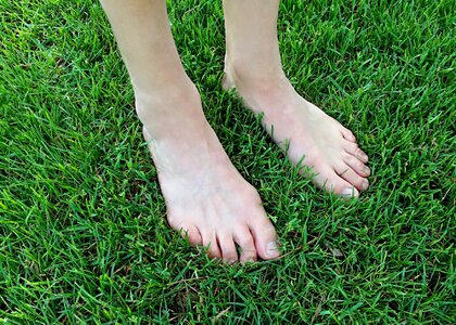 Grass summer