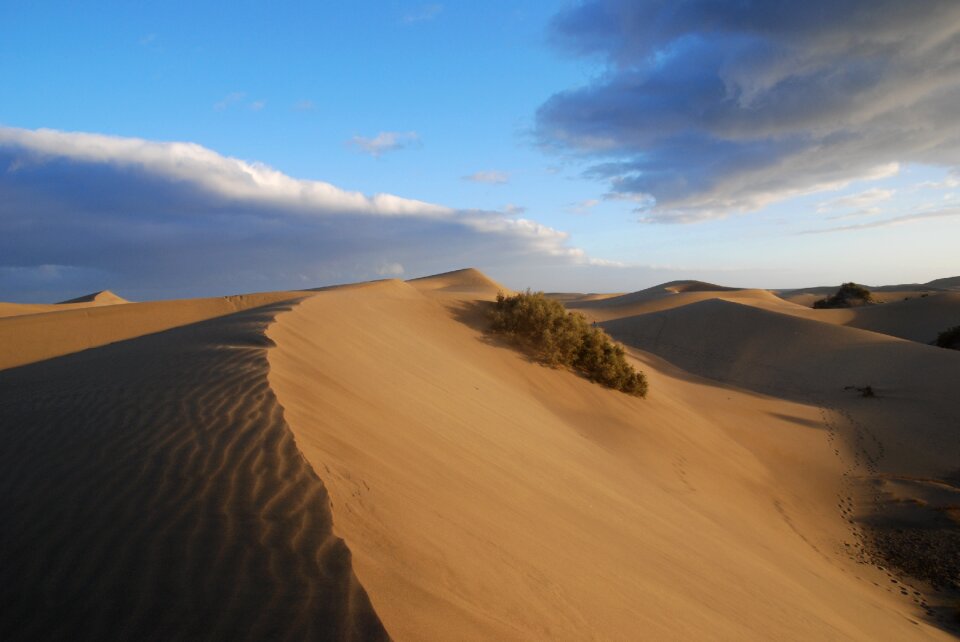 Sand dunes sand dunes