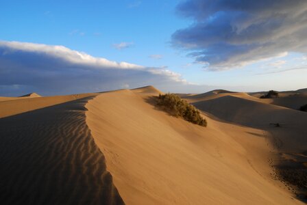 Sand dunes sand dunes photo