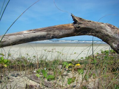 Sand nature landscape
