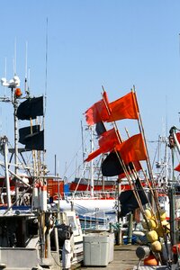 Flags harbor atmosphere
