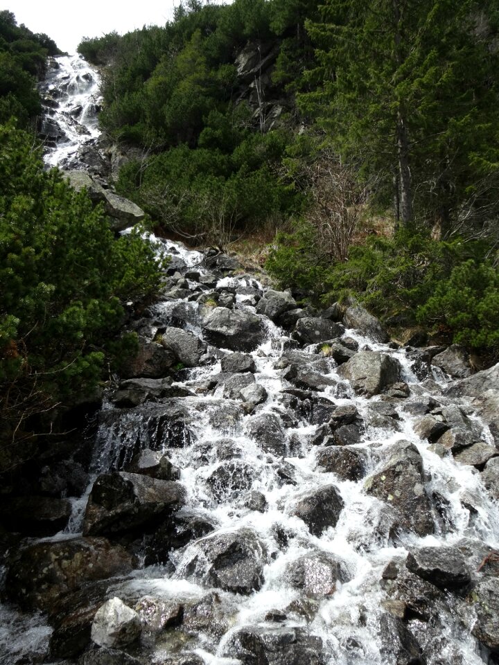 Nature water poland