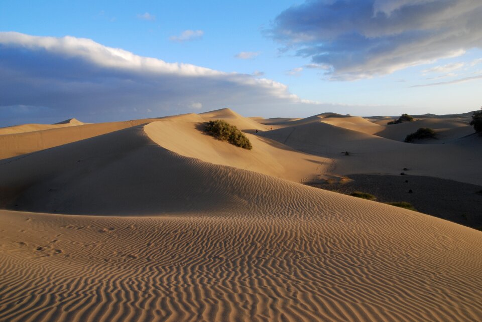 Sand dunes canary island