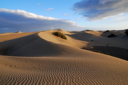 Sand dunes canary island photo