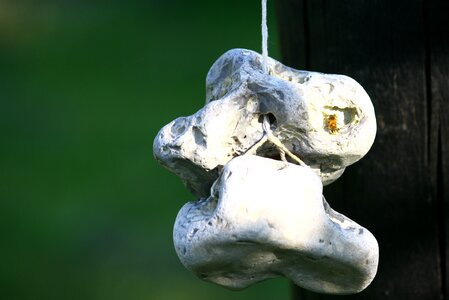Summer decoration decorative