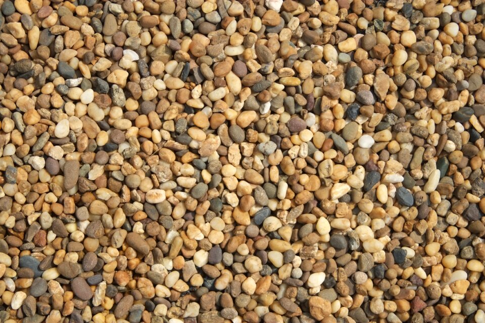 Nature plant soil