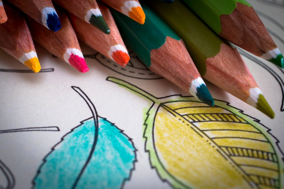 Creative antistress color