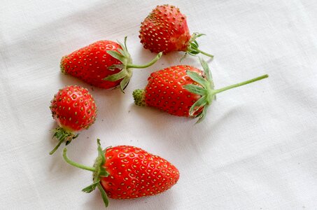 Dessert red fruits costs