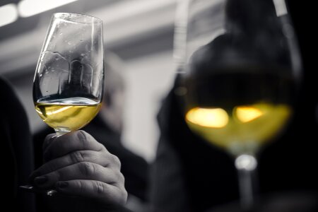 Glass white wine wine glasses photo
