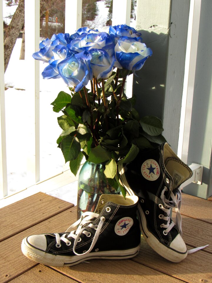 Shoes converse flower
