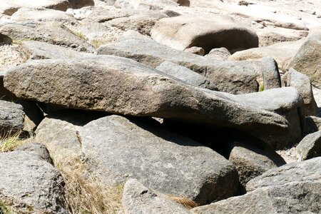 Nature riverbed landscape