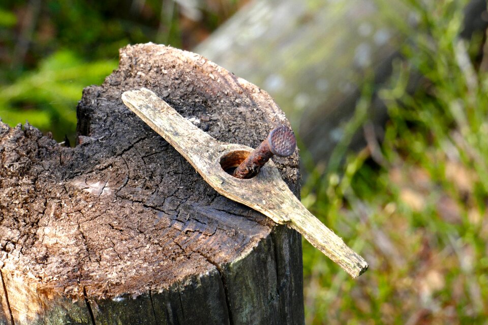Wood nature weathered