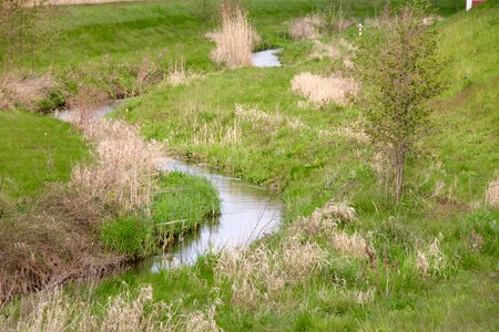 Nature waters flow