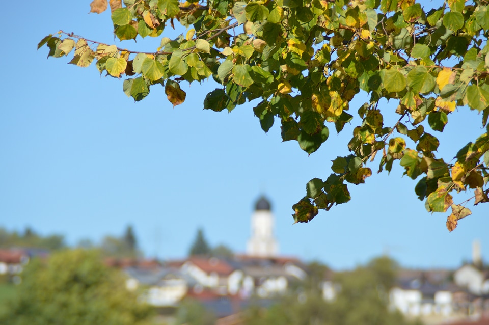 Autumn colours village land