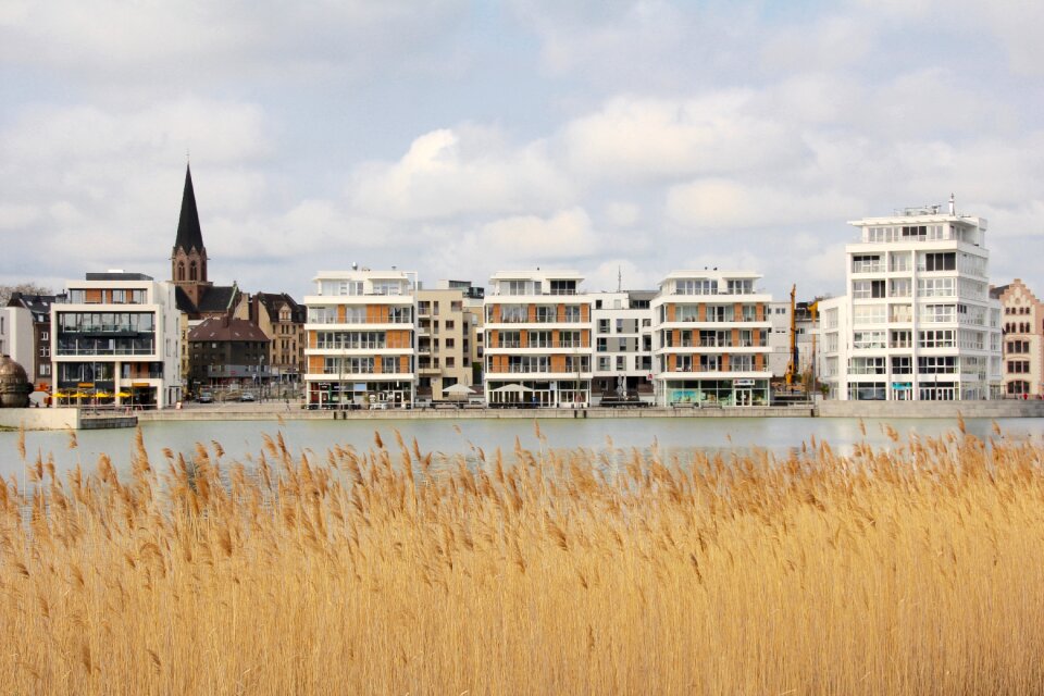 Reed bank idyllic