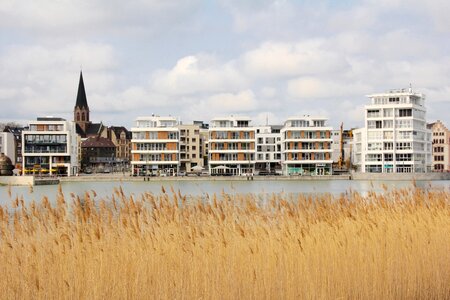 Reed bank idyllic